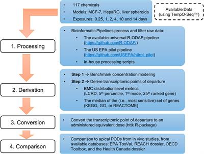 From vision toward best practices: Evaluating in vitro transcriptomic points of departure for application in risk assessment using a uniform workflow